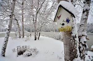 Gartenarbeiten im Januar In unserem schönen Garten