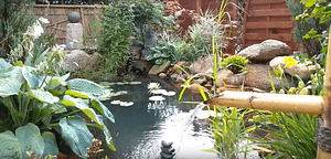 In unserem Garten