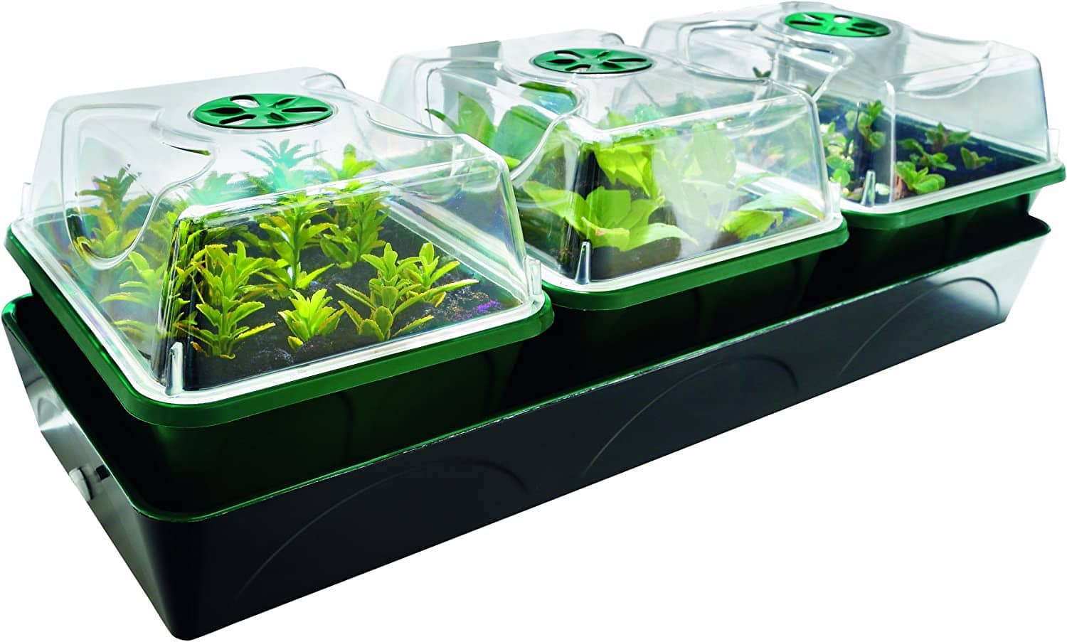 Bio Green Hollandia Anzuchtstation mit Kapillarmatte und Wassertank 1,4l , L : 54cm, B: 17cm, H: 21cm - 12,5 W